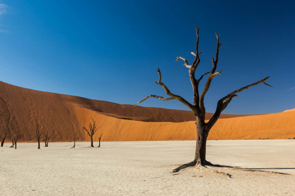 Namibia desert